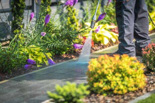 Professional Pressure Washing in Grayson Valley, AL